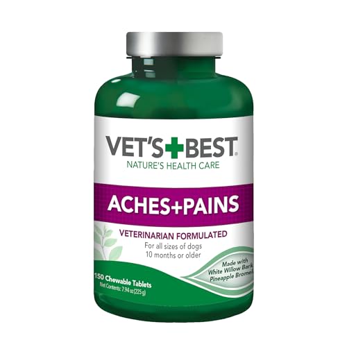 Affordable Vets near Me for Dogs