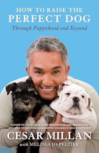 Basic Obedience Dog Training near Me