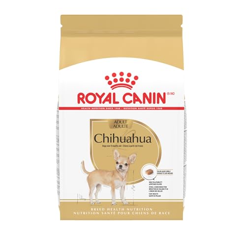 Best Dog Food for Chihuahua