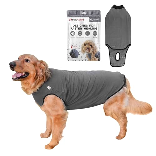 Best Dog Recovery Suit After Spay
