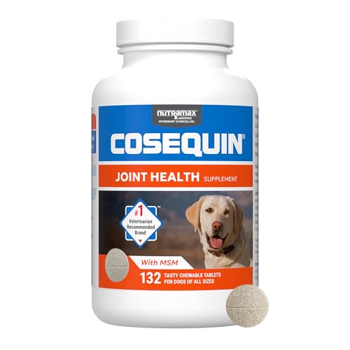 Best Dog Supplements for Older Dogs