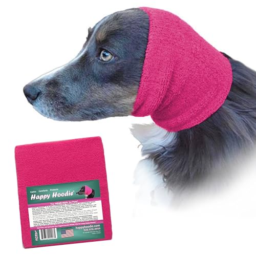 Best Medication for Dogs With Thunderstorm Anxiety