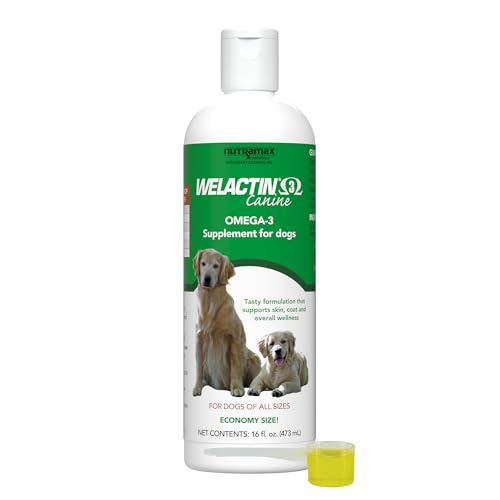 Best Omega 3 for Dogs Vet Recommended
