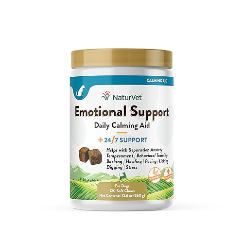 Best Over the Counter Anxiety Meds for Dogs