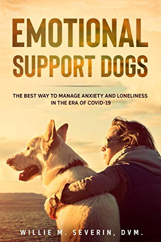 Best Service Dog Breeds for Anxiety