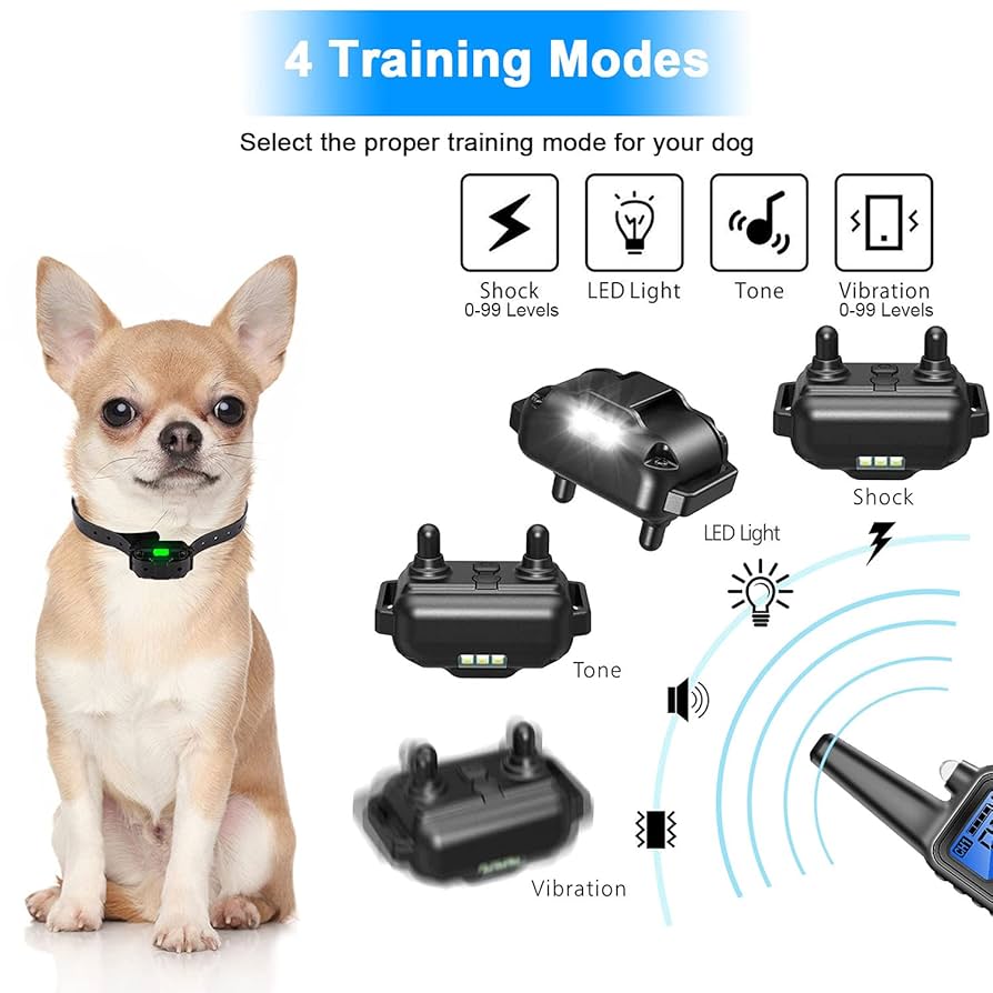 Do Shock Collars Work on Dogs