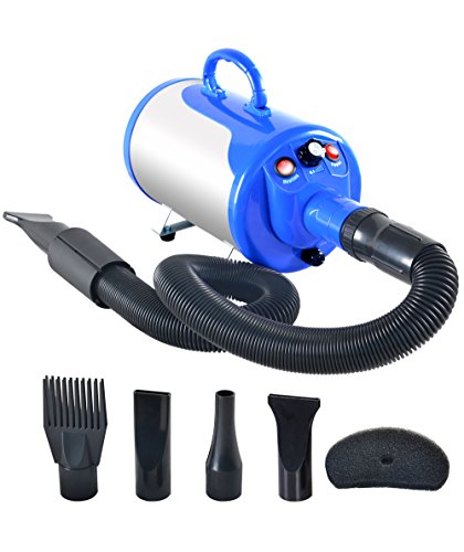 Dog Bath And Blow Dry near Me