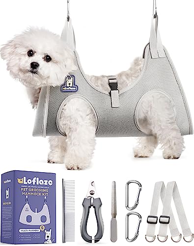 Dog Bath And Nail Trim