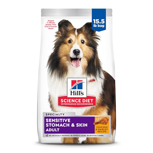 Dog Food Recommended by Vets