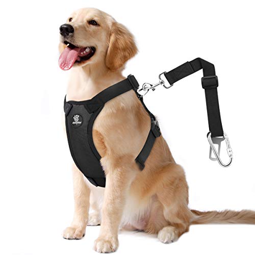 Dog Harness And Seat Belt