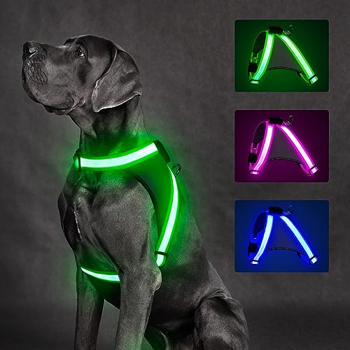 Dog Harness With Led Lights