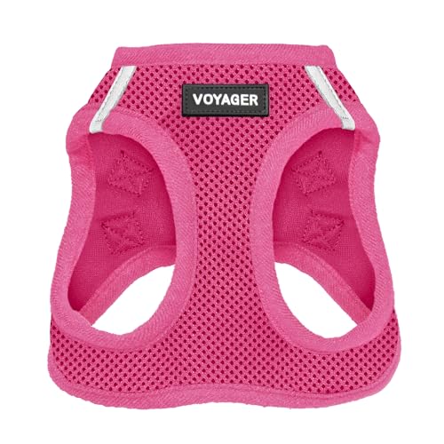 Dog Harnesses for Small Dogs