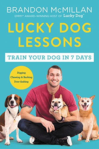 Dog Obedience Training near Me Brooklyn
