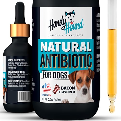 Dog Pet Meds Without Vet Prescription