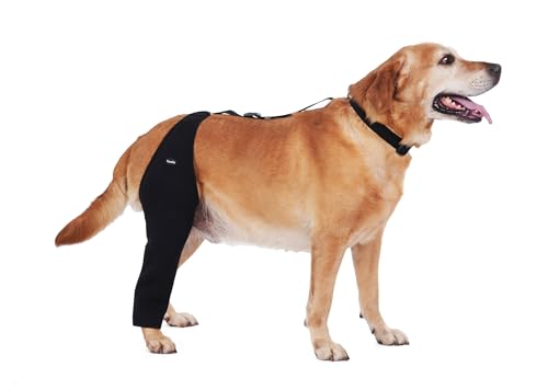 Dog Recovery Sleeve Back Leg