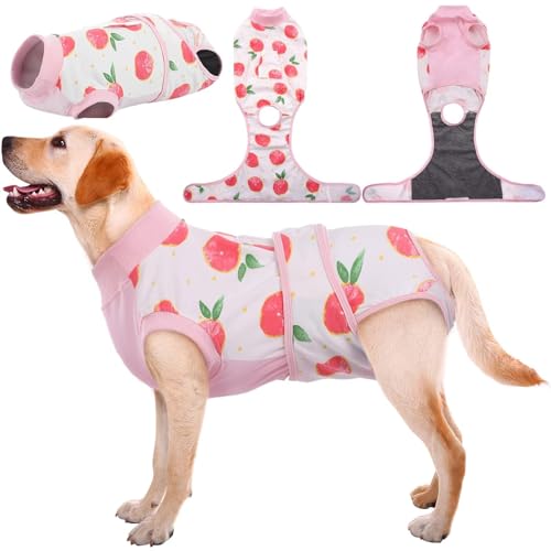 Female Dog Surgical Recovery Suit