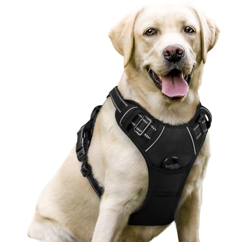 Harness for Dogs That Pull