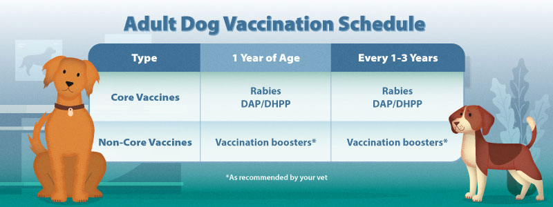 How Much are Shots for Dogs at the Vet