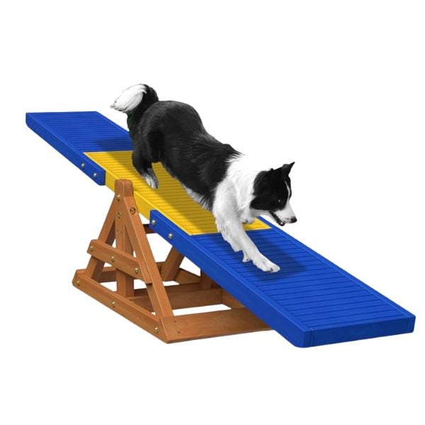 How to Build Agility Equipment for You Dog