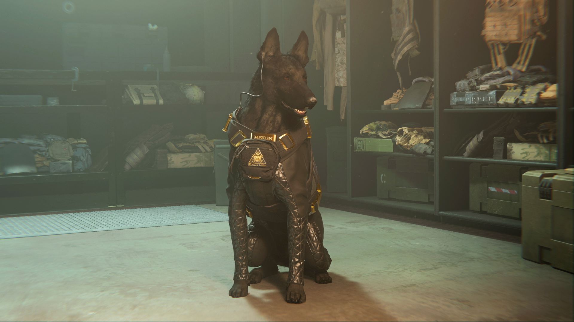 How to Equip Dog in Modern Warfare