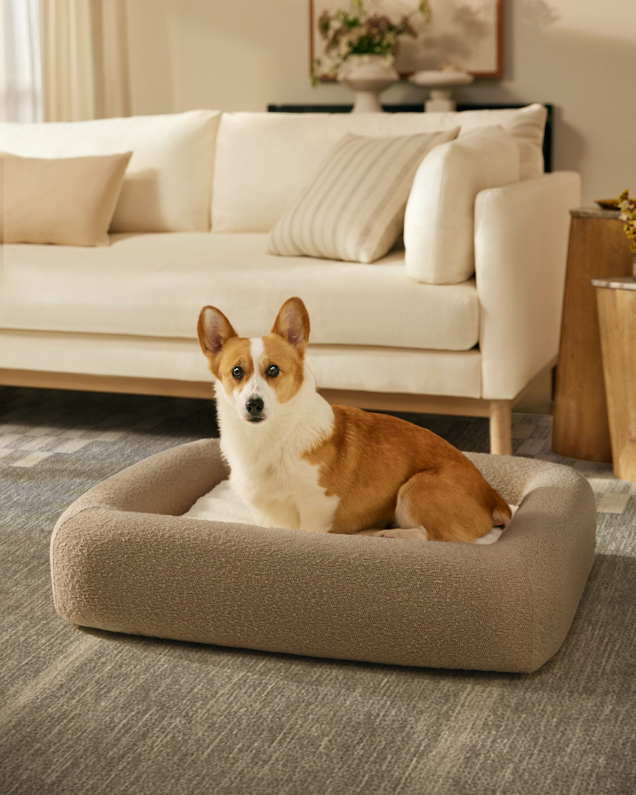 How to Style Taupe Dog Room