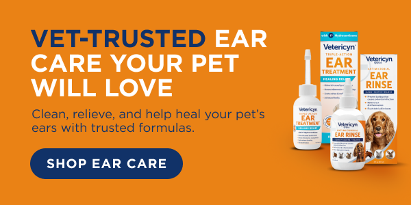 How to Treat Dog Ear Infection Without Vet