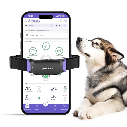 Mobile Vet near Me for Dogs