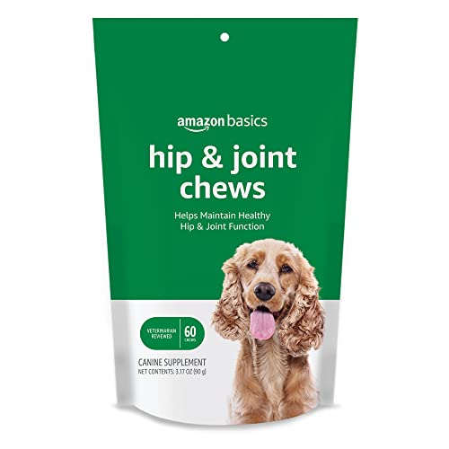 Mobile Vet Services for Dogs