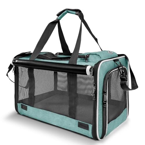 Mobile Vet to Put Dog down