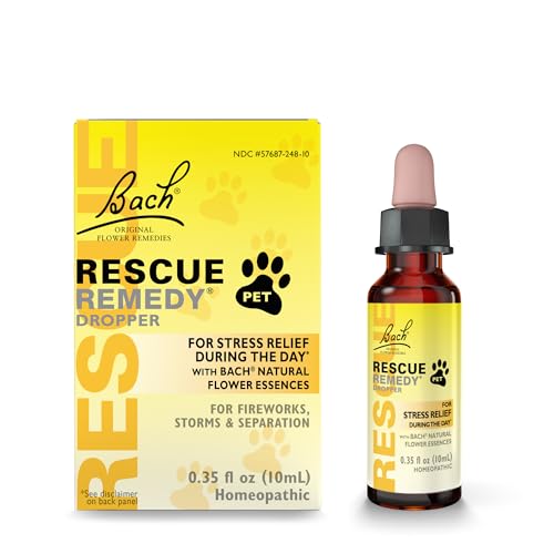 Pet Rescues near Me for Dogs