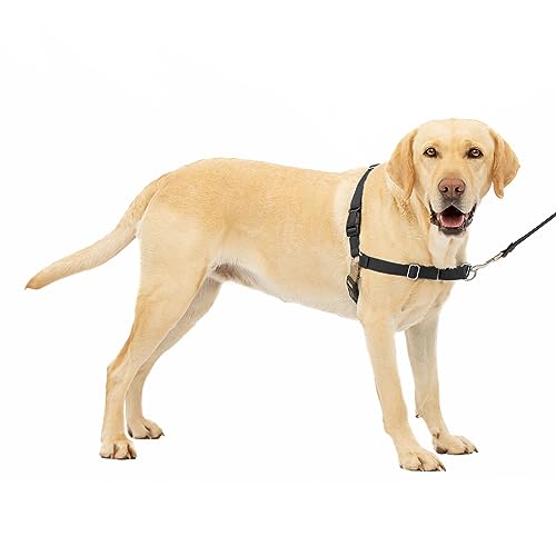 Pet Safe Harness for Dogs
