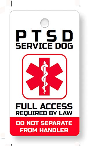Service Dogs for Vets With Ptsd