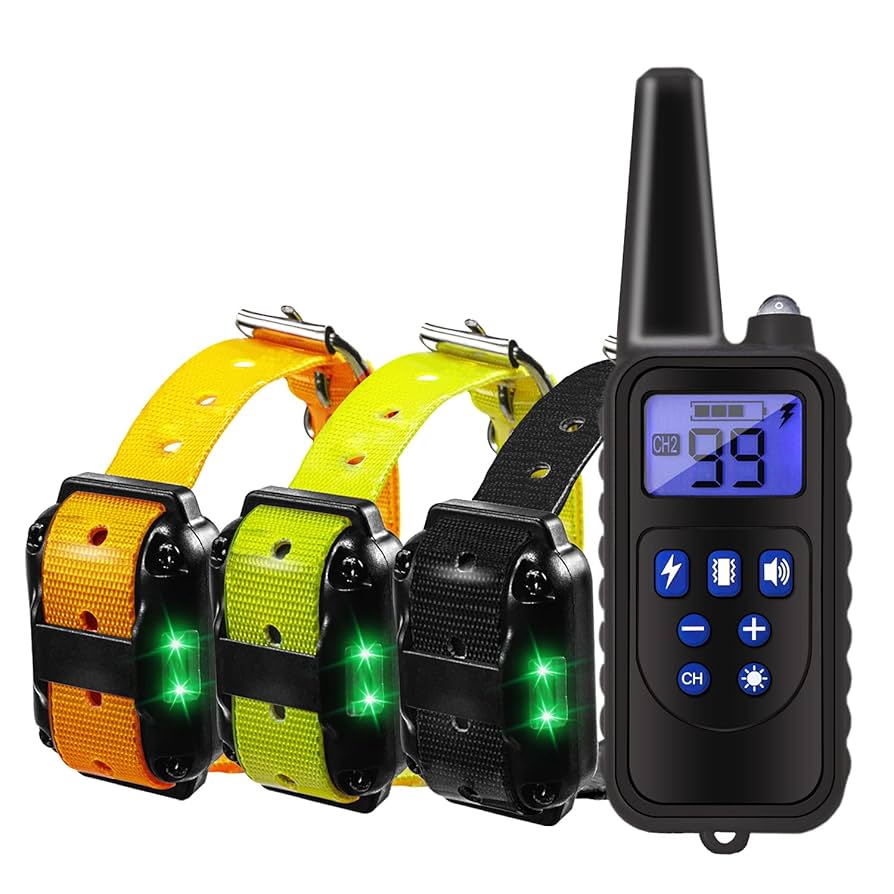 Shock Collars for Dog Training