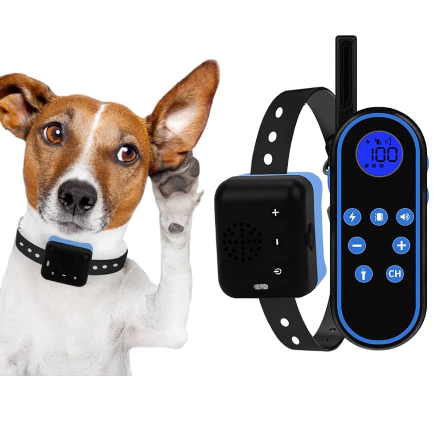 Training Collar for Dogs With Remote