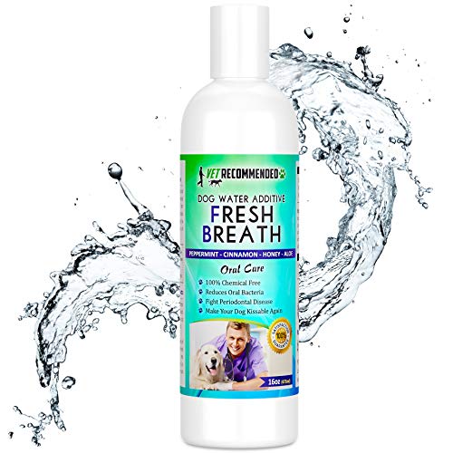 Vet Recommended Dog Breath Freshener