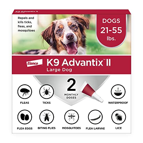 Vet Recommended Flea Treatment for Dogs