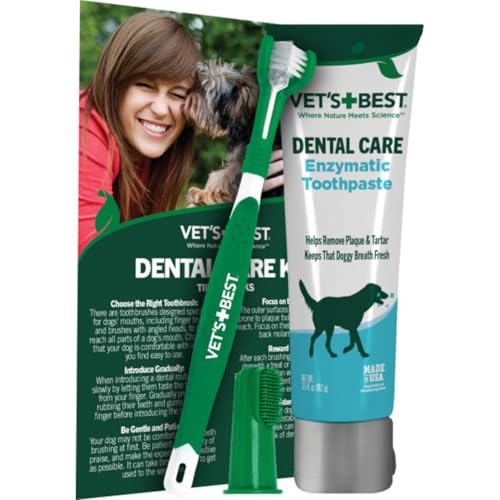 Vets That Clean Dogs Teeth