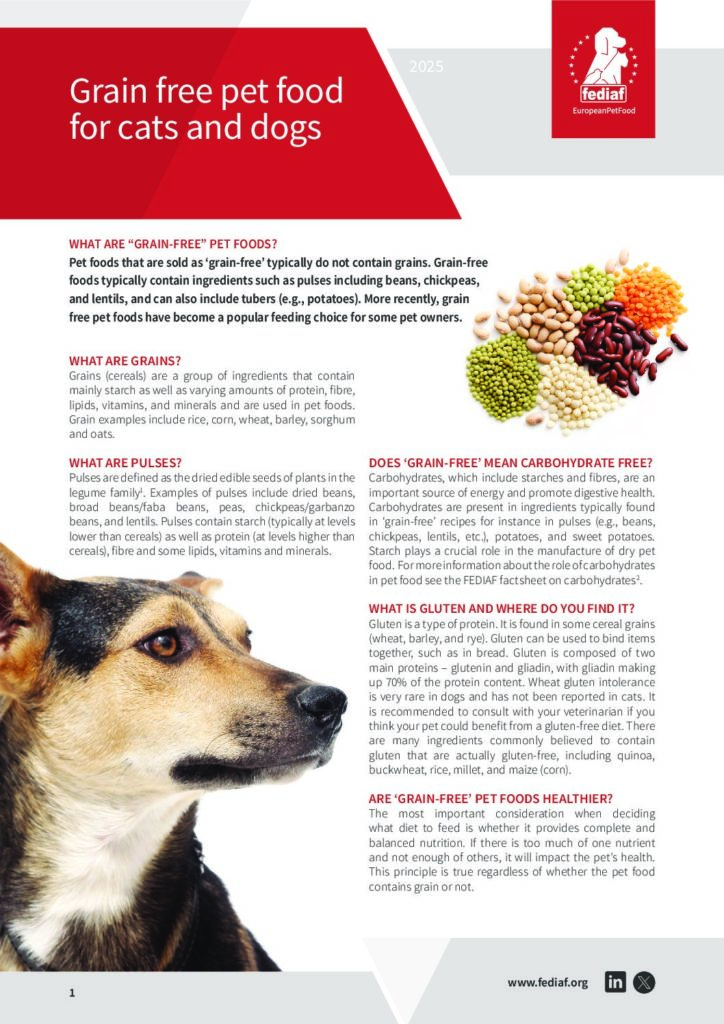 What Do Dogs Need Nutritionally