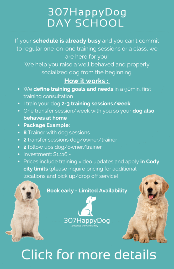 What Does Dog Obedience Training Cost