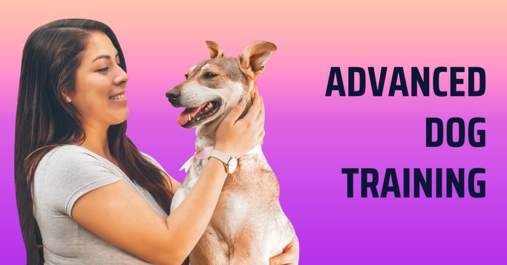What is Advanced Dog Training