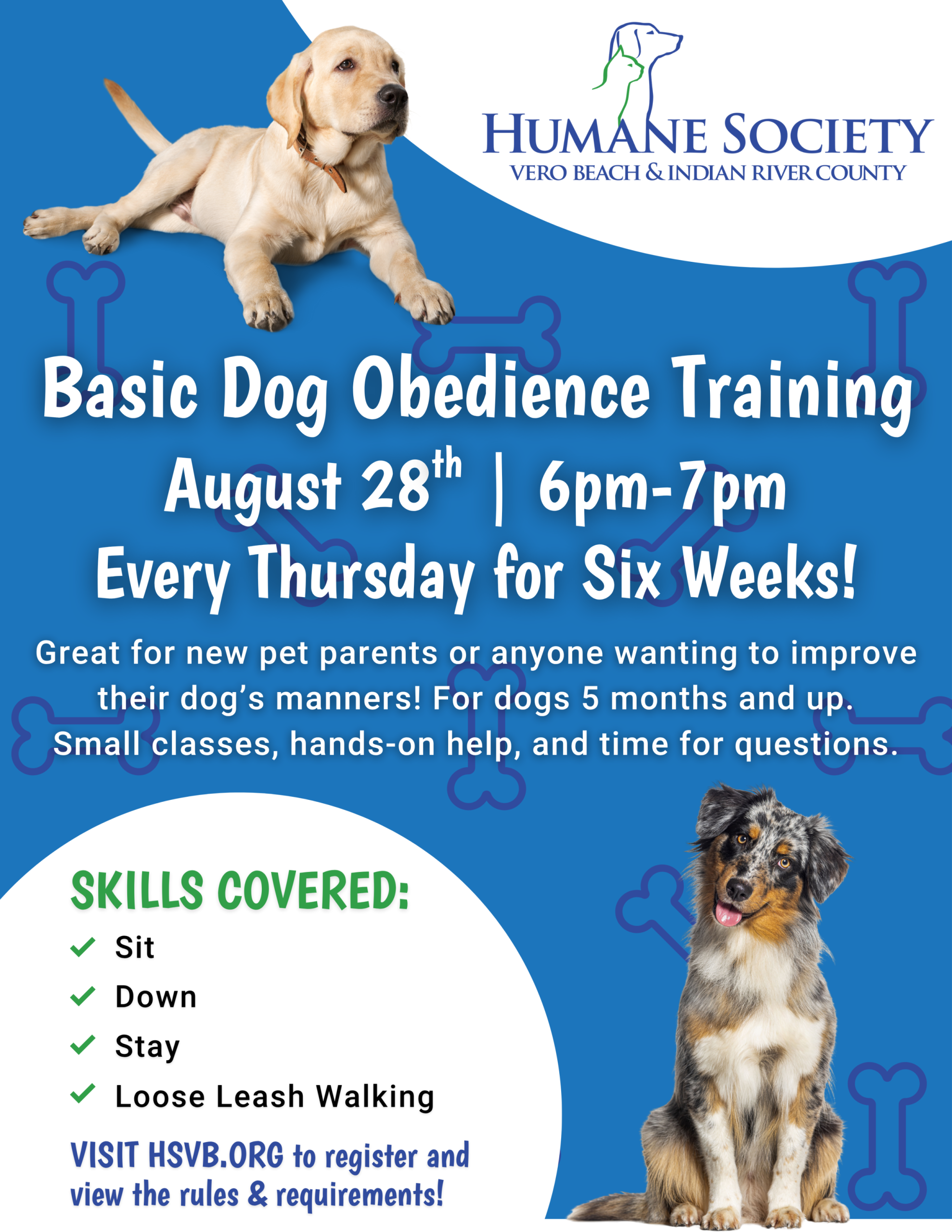 What is Basic Obedience Training for Dogs