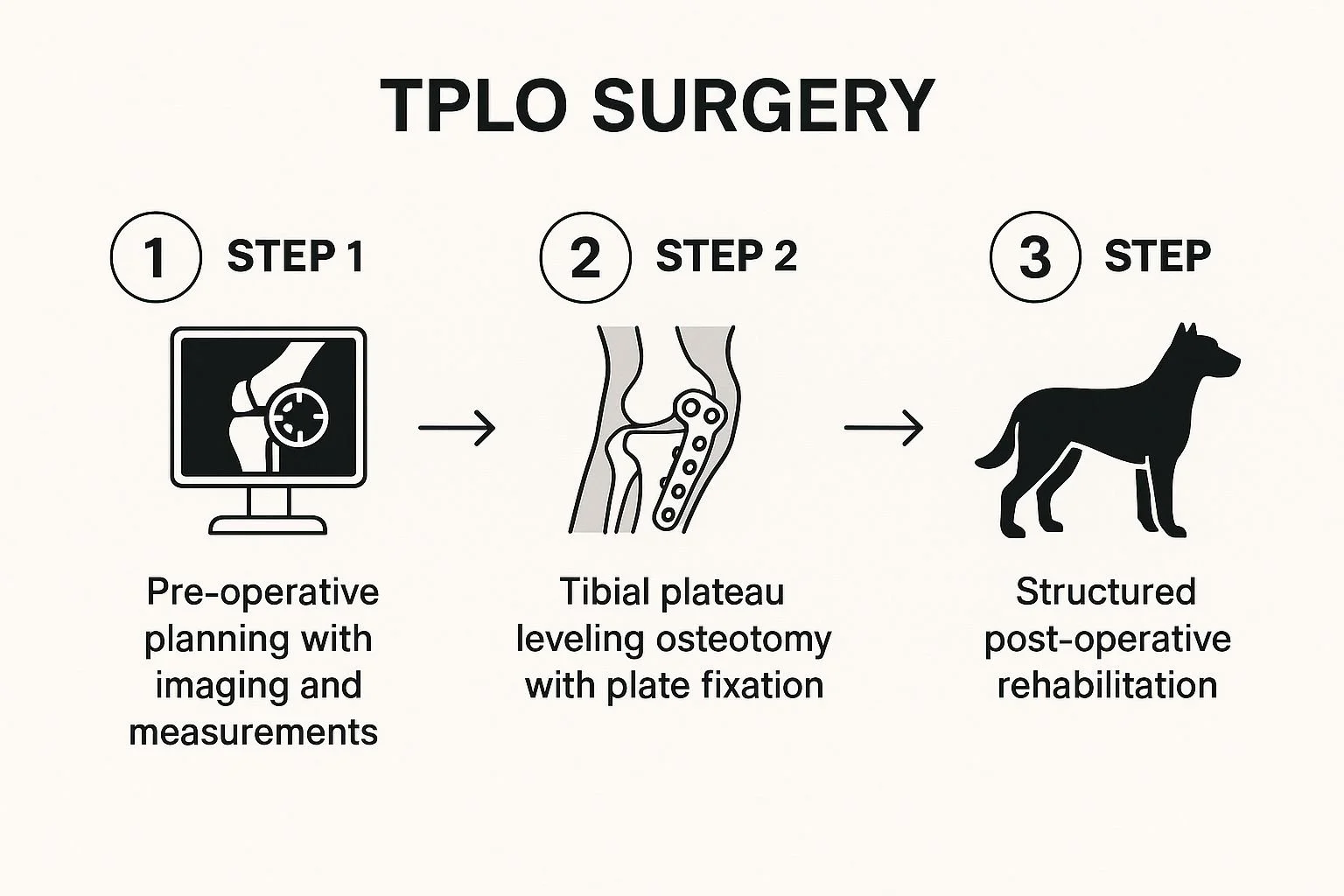 What is the Recovery Time for Tplo Surgery in Dogs
