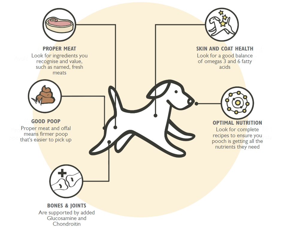 What Nutrition Does a Dog Need