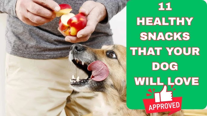 What Snacks of Human Food are Good for Dogs