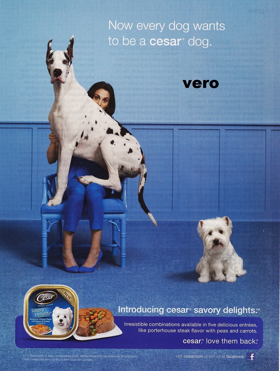 What Type of Dog is the Cesar Dog Food Commercial