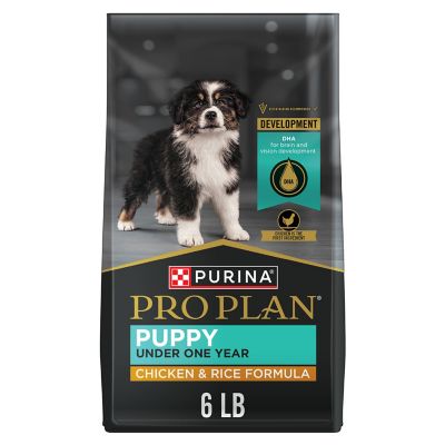What Type of Food is Good for a Nursing Dogs