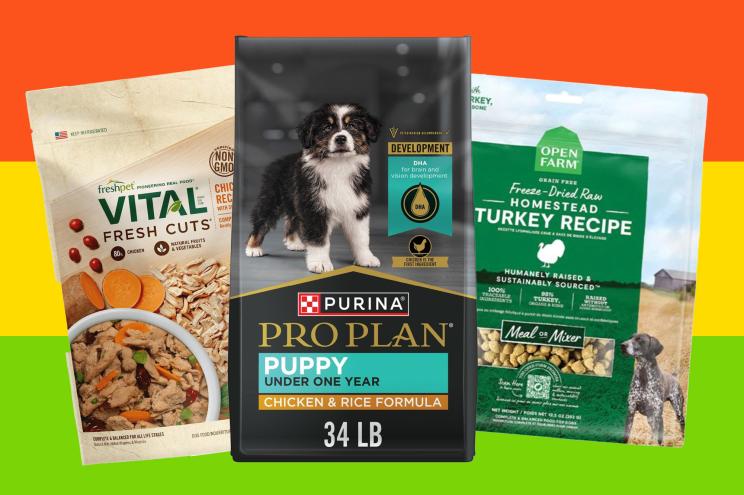 What'S the Best Nutritional Dog Food