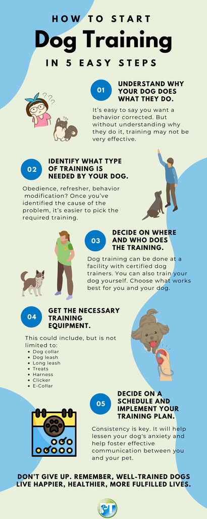When Should You Start Obedience Training for Dogs