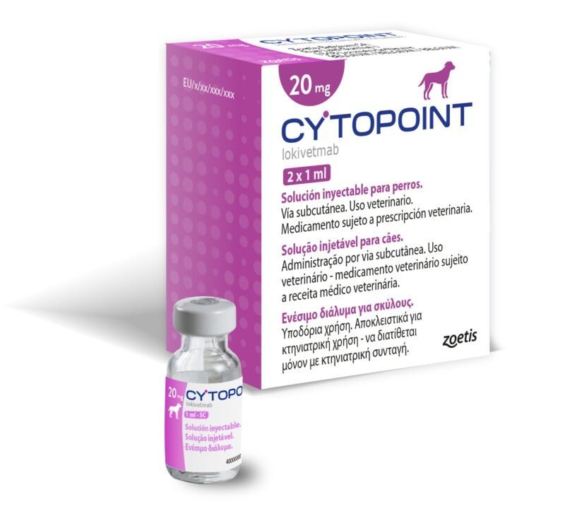 Where to Buy Cytopoint for Dogs Without Vet